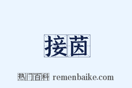 接茵是什么意思的图片